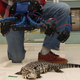 Illustration for article titled Researchers Want To 'Build' Their Own 3D Shark with Beastcam